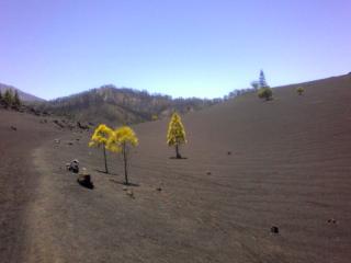 Black volcanic sand at Arenas Negras, Tenerife