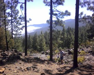 Mountain bike rides in the La Orotava Valley