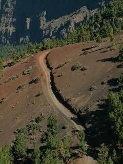 DH MTB rides in Tenerife