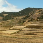 Teno Alto Terracing